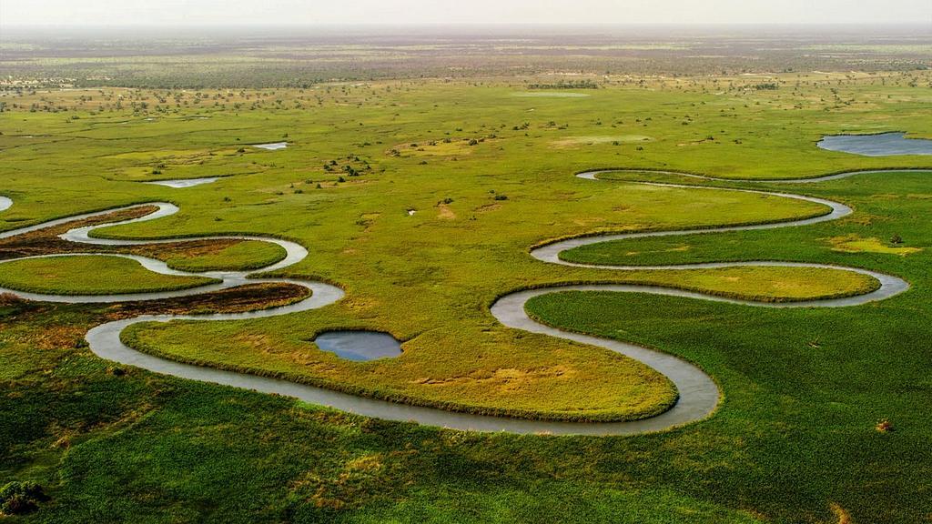Milheiro Delta: Negocie Milhas com Segurança no Balcão de Milhas 1 milheiro delta