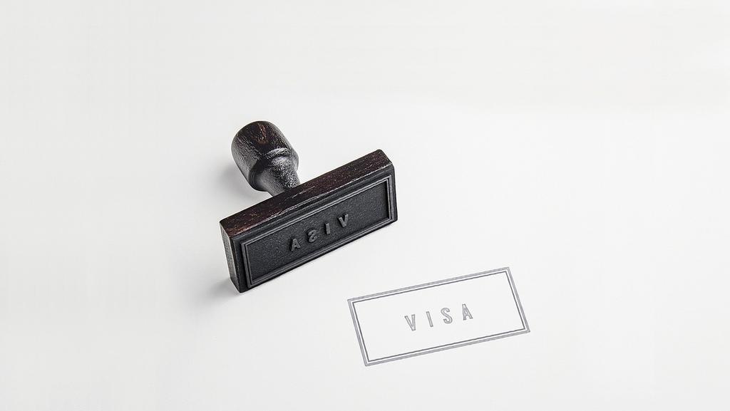 programas de fidelidade visa