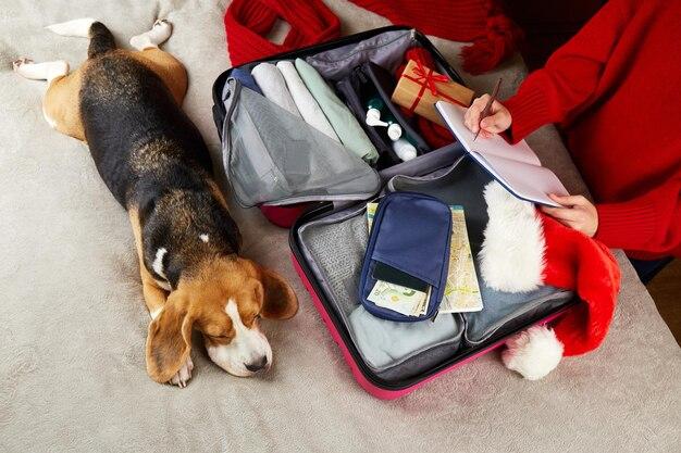 Milhas para cashback em acessórios para saúde animal: economia e vantagens 1 milhas para cashback em acessórios para saúde animal