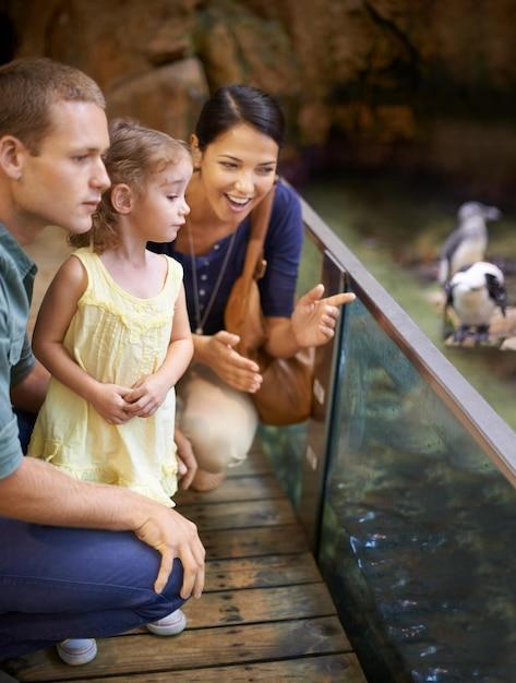 milhas para pontos para museus virtuais e zoológicos e aquários e parques e jardins botânicos e parques naturais e zoológicos e aquários